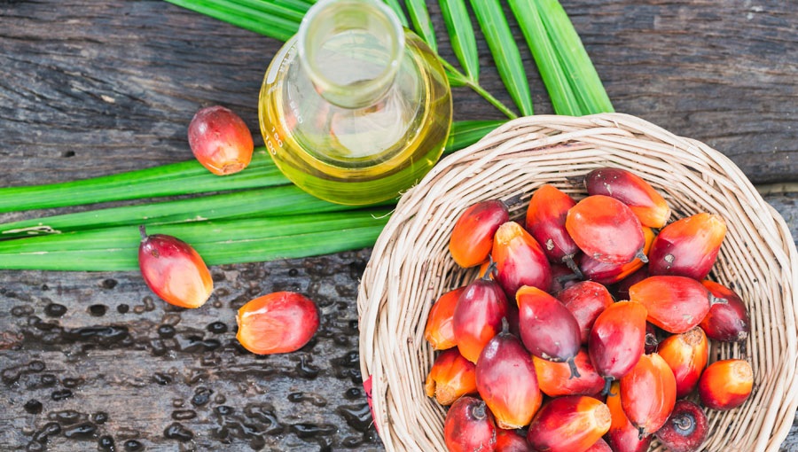Пальмовое масло в диете советы диетолога
