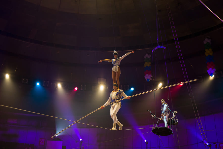 Кто работает в цирке: творческие профессии изображение