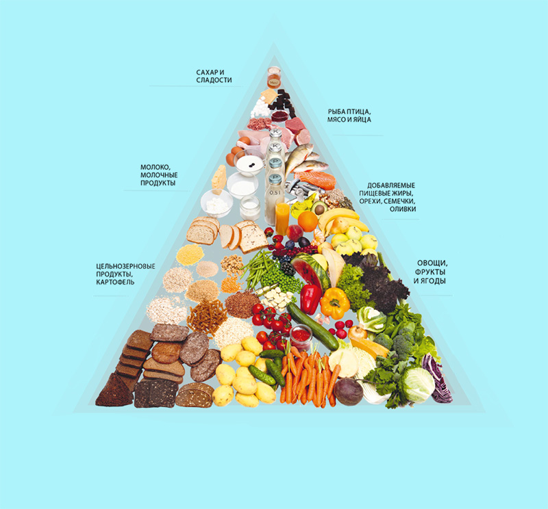 Правильное питание для похудения: основные принципы и советы