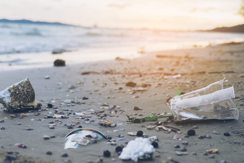 Чем опасен пластик для человека и окружающей среды изображение
