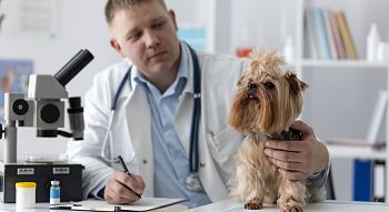 заочное обучение ветеринария